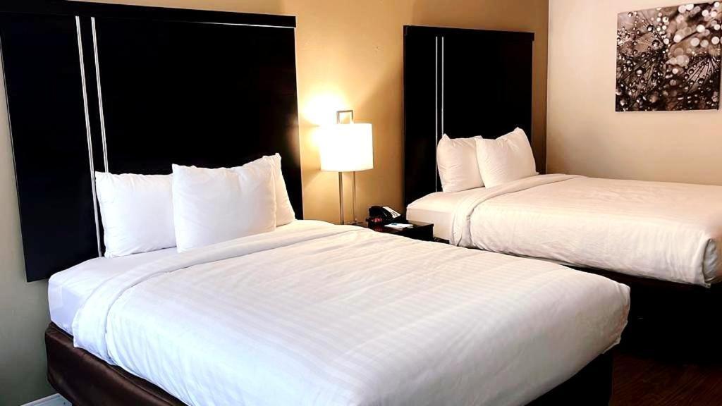 Clarion Inn & Suites Florence Eksteriør bilde