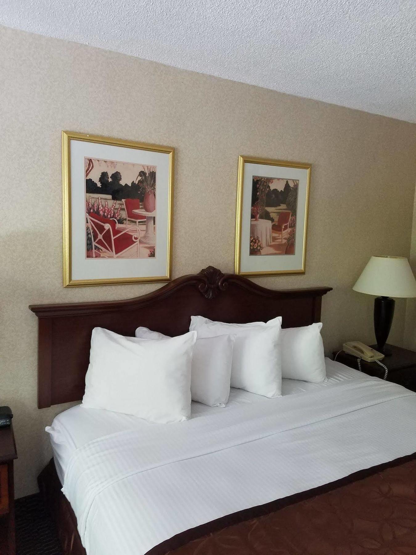 Clarion Inn & Suites Florence Eksteriør bilde
